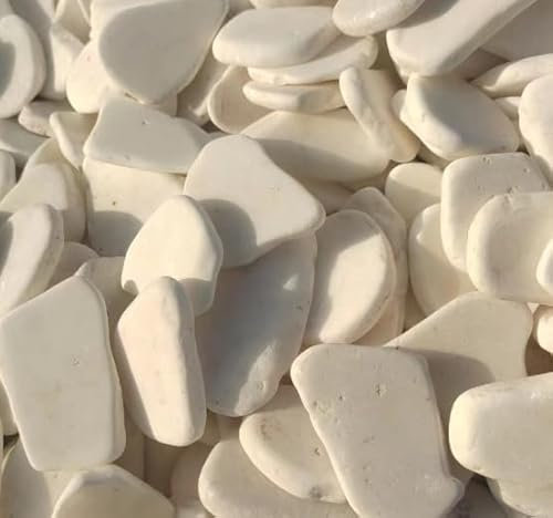 VZXZXE 12 pietre da dipingere, piatte, ciottoli bianchi da dipingere, 3-7 cm, pietre decorative bianche, da dipingere, pietre decorative per pittura colorata e decorazione, set di 12 pezzi