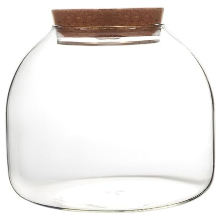 Terrarium en verre pour plantes, 1600 ml avec couvercle en liège, grand pot à ouverture pour mini plantes grasses, paysage, affichages floraux
