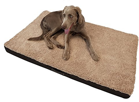 DILUMA Orthopädisches Hundebett Benji Größe XL (120 x 72 x 10 cm) - optimaler Liegekomfort für Ihr Haustier - viscoelastische Hundematratze mit abnehmbaren Bezug und Antirutschbeschichtung