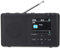 REFLEXION TRA23DAB/GR, Tragbares UKW Radio mit DAB/DAB+ (16 Watt) Farbdisplayanzeige, Netz- und Batteriebetrieb, 40 Senderspeicherplätze, Schwarz