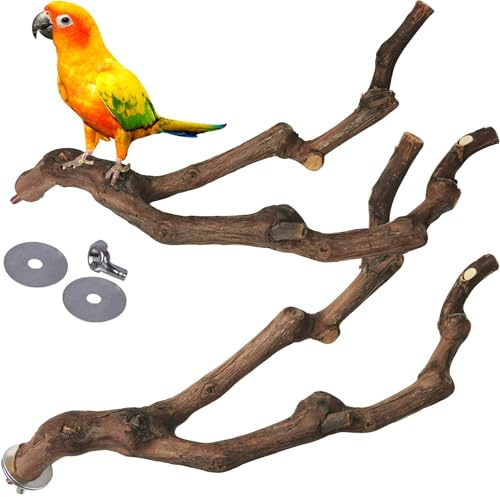 kathson Lot de 2 perchoirs naturels pour perroquet, bâton de raisin sauvage, broche, grimpant, branches, jouet à mâcher pour petits perruches, calopsittes, inséparables
