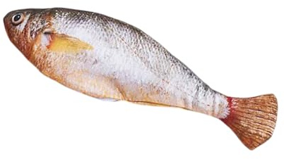 Fisch Spielzeug Für Katzen | 150mAh Zappelnder Fisch - Interaktives Elektrisches Jagdspiel Mit Waschbarer Hülle Realistisch,für Bereicherung Bewegung und gegen Langeweile für Indoor Outdoor und