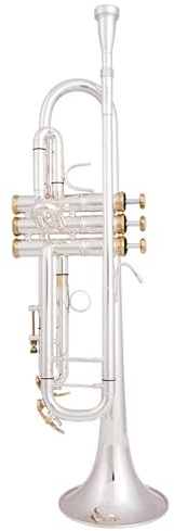 Trompete für Anfänger Versilberte B-Trompete Goldenes Trompeteninstrument Für Anfänger Für Spielen(Color:Silver)