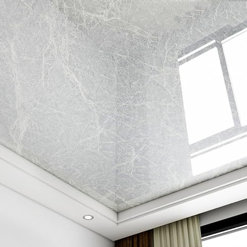 ByteRunning Plafond PVC Autocollant,Dalles De Plafond Autocollantes en PVC,Dalles De Plafond DéCoratives en PVC,Facile à Nettoyer,pour sous-Sol,Cuisine,Salle De Bain