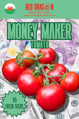 Money Maker Tomato Seeds - 15 Fresh Money Maker Tomato Seeds