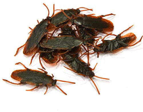 Jorzer Faux cafards cafards réalistes Insectes en Plastique Insectes Insectes blagues farcs Effrayant Insectes Insectes pour Les Fous de la fête d'halloween Pranks 10pcs