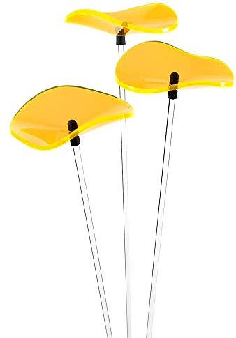 Cazador-del-sol ® - das Original | Lucille | 3 Stück | geschwungener Sonnenstrauß gelb | Durchmesser 8 cm | Höhe 40 cm