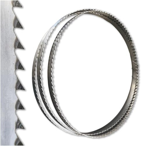 Diamwood Lame de Scie à Ruban Bois PAE Réaffûtable 1425 x 10 x 0,6 x 6 mm - Acier C75 - Idéale pour Découpe Précise du Bois, Réaffûtable pour Prolonger la Durée de Vie