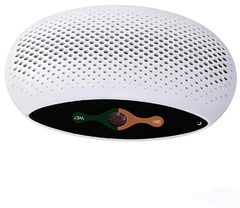 Deumidificatore Ricaricabile, Mini Deumidificatore Wireless Portatile con Indicatore Intelligente, Deumidificatore ABS Silenzioso per Armadio, Bagno, Camera da Letto, Auto, Cassetto