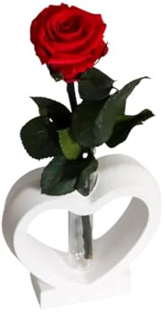 Gedankenwunder Manufaktur Rosenherz weiß aus Beton mit echter ewiger Rose
