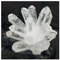 Grappe de cristal de quartz fantôme blanc naturel, pierre d'échantillon de minerai naturel, cristal for collection de décoration de la maison et pierre de cristal cadeau collecte à domicile ( Color :