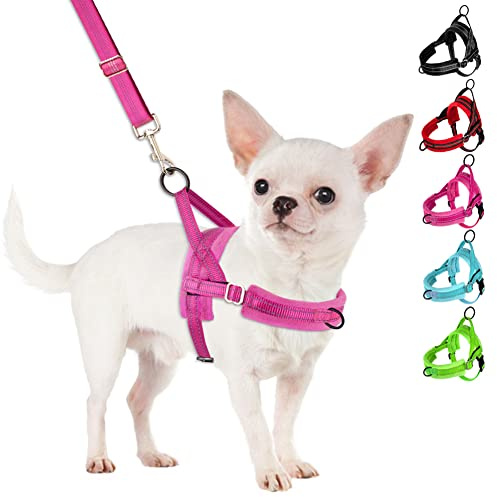 SlowTon No Pull Small Dog Harness and Leash Set, Puppy Soft Vest Harness Neck & Chest Adjustable, Reflective Lightweight Harness & Anti-Twist Pet Lead Combo for Small Medium Dogs (Fuchsia, XS)