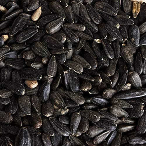 Leagrams Black Sunflower Seeds for Wild Birds (5kg) - Rich in Protein & Oil, High-Energy Bird Food