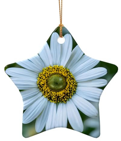Weiße Chrysantheme, exquisiter Weihnachts-Keramik-Anhänger, rund, für Taschen, festliche Baumschmuck, Auto-Dekoration