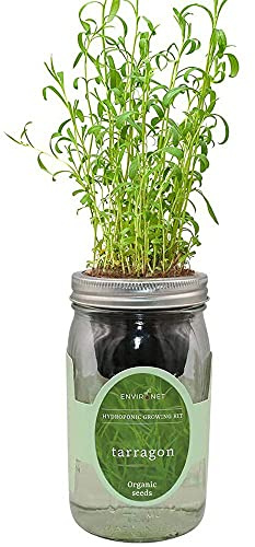 Environet Hydroponic Herb Growing Kit, Self-Watering Mason Jar Herb Garden Starter Kit Indoor, Windowsill Herbs Garden, New Christmas Grden Gift for Mom (Tarragon)