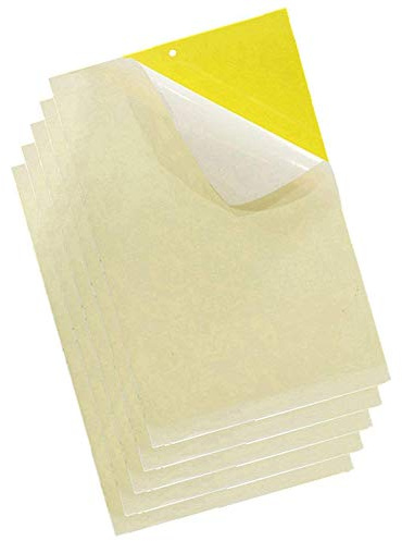 20 Piezas Amarillo Trampas Adhesivas para Moscas Insectos piojos Atrapa Insectos Papel Adhesivo Pegajoso Adhesivo Atrapamoscas De Pegamento Decorativa contra la Mosca Tira de Papel (25 * 20cm)