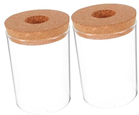 NOLITOY 2stücke Glasvase für Hydroponik Durchsichtige Anzuchtvase Hydroponik-pflanzgefäß Kleine Tisch-glasvase für Pflanzen Hydrokultur-vase mit Transparentem Glasdesign