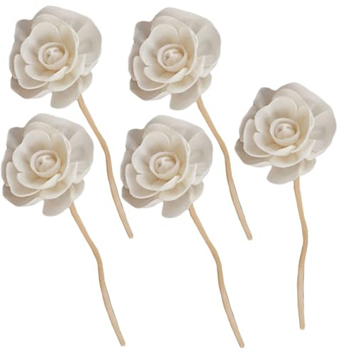 CONGARTENO 5 pezzi Bastoncini Diffusore in Rattan per Profumo Ambienti Bastoni Decorativi per Aromaterapia per Vasi e Oli Essenziali Regolabili per Intensità Fragranza