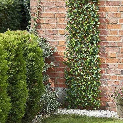 Garden Mile Treillis topiaire feuilles fraîches et fleurs artificielles pour printemps et été - Décoration de jardin - Faux lierre grimpant (180 x 60 cm, treillis de feuilles de citron)
