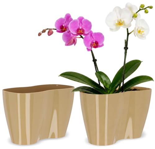 KADAX Grand Pot de Fleurs en Polypropylène pour Orchidées, Cache-Pot Élégant et Robuste pour Décoration Intérieure et Extérieure (23.5 x 16 cm, Beige)