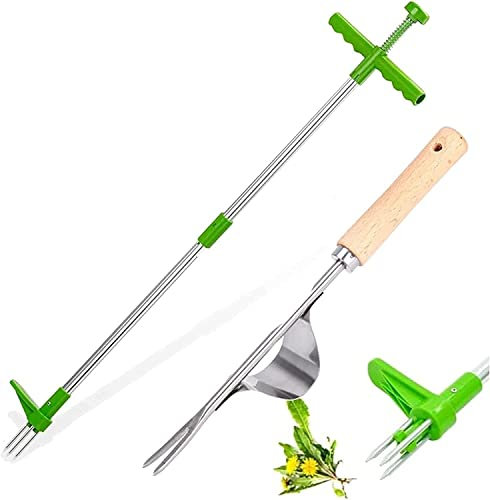 Youning Löwenzahnstecher Unkrautstecher mit Stahlkrallen Unkraut Ausstecher Distelstecher Unkrautentferner Stehen Unkrautzieher Langer Griff Garten Jätwerkzeug Entfernen von Unkraut ohne Bücken