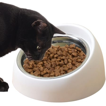 Lutade kattmatskålar | Anti-kräkning 16° lutande kattskålar för inomhuskatter, bred grund skål upphöjd för, kattungar, valpar, hundar, husdjurstillbehör