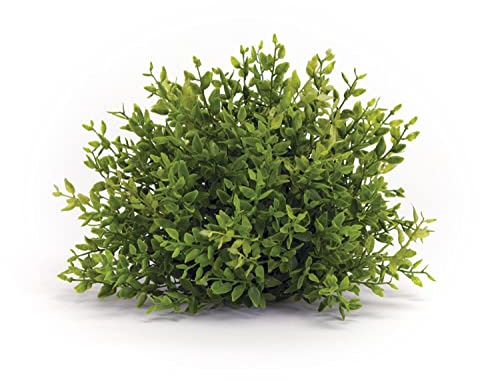 Melrose Mini Leaf Half Orb 7-inch Diameter, Plastic, Artificial Plastic Mini Plants Unique Fake Fresh Green Grass