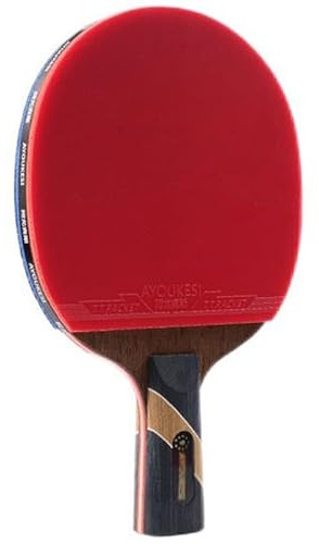 JITEM Profi Tischtennisschläger,Ping-Pong-Schläger, Hochleistungs-Tischtennisschläger aus Kohlefaser, 9-Sterne-Tischtennisschläger für professionelle Spieler und Trainer(Color:B)