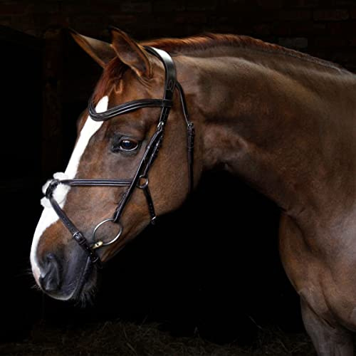 Harry Hall Cottage Craft Grackle Bridle Brown | Anatomical Horse Bridles | Grackle Noseband For Cob | Leather Tack
