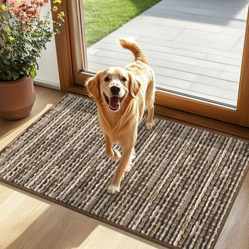 Biscpro Fußmatte 60x90cm Schmutzfangmatte Innen,Rutschfeste Waschbar Fussmatte,Sauberlaufmatte Teppich für Eingangsbereich,Haustür,Patio,Flur,Garten