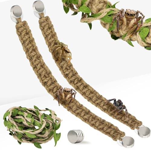 Niuohoy Confezione da 2 Pezzi di Corda per Saltare, Accessori per Ragni Che saltano, con magneti e Erba Finta Ornamentale, per Ragni Che saltano, terrario, Decorazione per Recinzione di Ragni