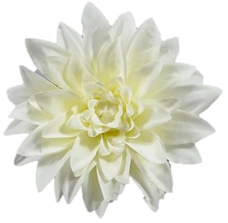 JHOMHF Bouquet De Dahlias en Soie Au Toucher Réaliste 13 Cm, for Mariage Et Décoration D'intérieur(Cream White,30)