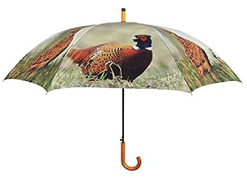 Regenschirm Fasane mit Holzgriff, Automatikschirm, Stockschirm, Schirm, Tier, Fasan, Vogel