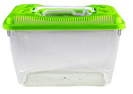 Penn-Plax Small World Habitat – Portable Clear and Transparent Plastic Tank – Excellent for Small Critters and Creatures – Easy to Clean & Handle – 0.6 Gallon