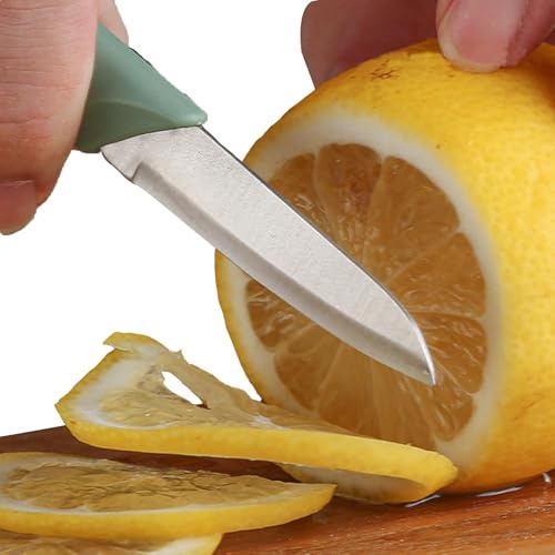 Bmucp Pelapatate per frutta e verdura, pelapatate per cucina | pelapatate multifunzione per alimenti e verdure, pratico pelapatate per frutta, pelapatate per cetrioli con pennello per verdure e frutta