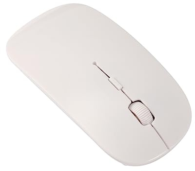 CAXUSD Souris sans Fil Ultra-Mince 2,4 Ghz Blanche en Abs Clics Silencieux et Récepteur Nano USB pour Ordinateur Portable et PC Facile à Utiliser