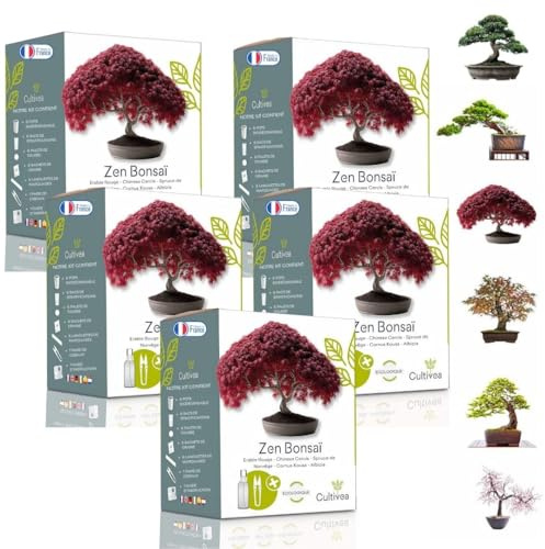 CULTIVEA® Kit Zen Bonsaï – 6 Variétés à Faire Pousser : Red Maple, Chinese Cercis, Albizia, Cornus Kousa, Norway Spruce & Juniperus – Idée Cadeau Jardinage & Plantes (x3)