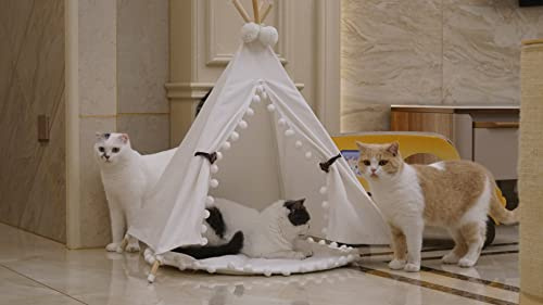 little dove Teepee Tent for Dogs, Pet’s Home/with Lace, Foldable and Washable, with Mattress (S)