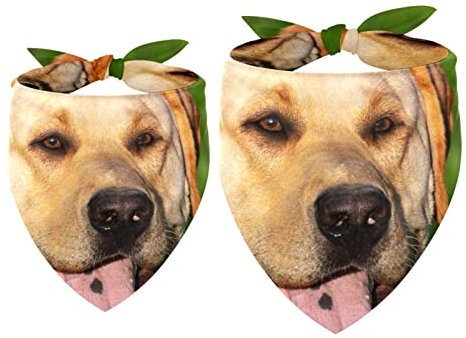 2 Stück Hundehalstuch, kleines Haustier, Labrador, lächelndes Mädchen, Jungen, Hundetuch, Zubehör für kleine, mittelgroße und große Hunde, Welpen, Katzen, Haustier