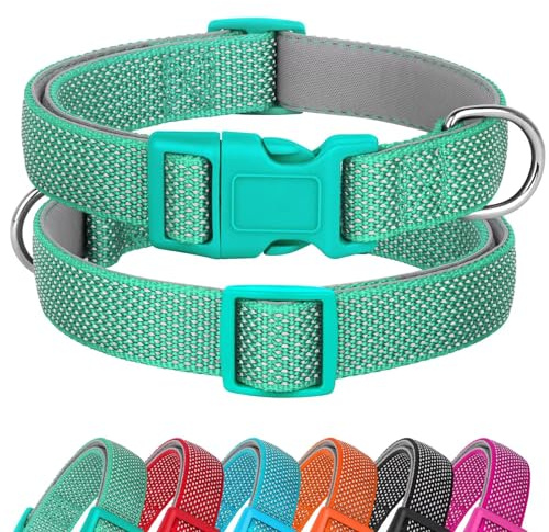 Didog Reflektierender Hundehalsband mit Schnalle, verstellbares, weiches, gepolstertes Neopren-Nylon-Halsband für kleine, mittlere und große Hunde, grün, L