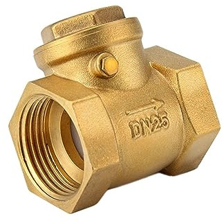 OZDTLP Valvola di ritegno a Battente con Filettatura Femmina in Ottone 232 PSI impedisce Il riflusso dell'Acqua DN32 DN40 DN50 Opzionale 1 Pezzo(DN40)