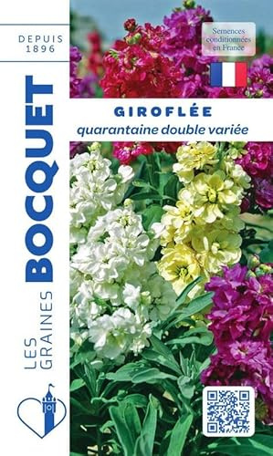 Sachet de graines de Giroflée quarantaine double variée - 0,5 g - fleur annuelle - LES GRAINES BOCQUET