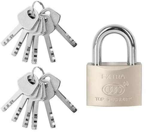 ALSTEN TECH Vorhängeschloss 50mm mit 12 Schlüsseln massiver Schlosskörper aus Gehärteter Stahl Vernickelt Sicherheitsschloss Robuster Bügel für Hohe Sicherheit Wetterfest Ideal für Innen und Außen
