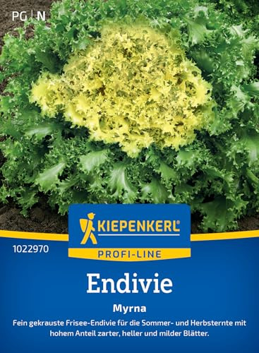 Kiepenkerl Endiviensamen Myrna 1022970, Gemüsesaat | Fein gekrauste Frisee-Endivie, für Salat und kreative Gerichte, Gemüsesamen für 100 Pflanzen