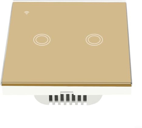 EpheyFIF Smart Light Switch 2 Gang, WiFi Touch Wall Switch Voice APP Control Remote Sharing Timer Function Compatible with for Alexa for Home 2.4GHz WiFi Network(Gold)