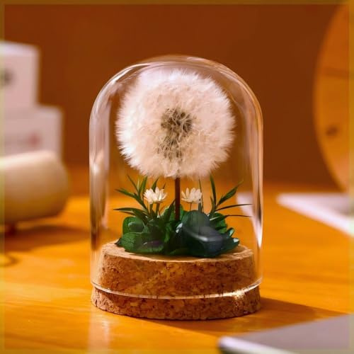 Moxiewell Vero Dente di Leone in Vetro, Regali di Dente di Leone per Donna, Fiore Stabilizzato Fiori Stabilizzati Veri Regali Natale Compleanno Anniversario Festa della Mamma Idea Regalo