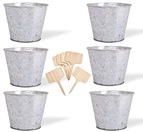 Katai Galvanised Metal Planter Buckets - 6 Pack Small Metal Buckets for Indoor Plants, Herb Garden, Orchid Pots, Hanging Plant Holder, Flower Pots, Wall Planters, Garden Decor - with 6 Plant Labels
