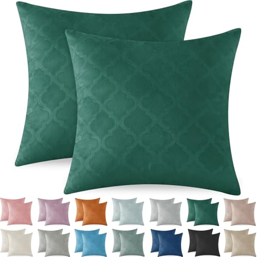 Ystyle Weihnachten 2er Set Samt Kissenbezug 60x60, Kissenbezüge Samtkissen Weich Dekokissen Kissenbezug Modern Deko Kissenhülle Sofakissen Zierkissen für Wohnzimmer Schlafzimmer, Dunkelgrün