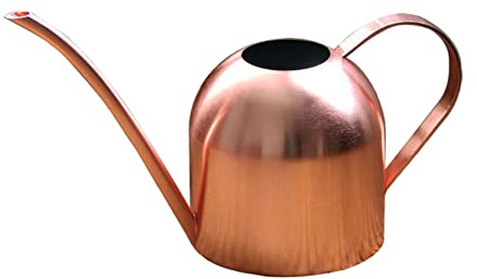 Anawakia Annaffiatoio per piante da interni in acciaio inox con beccuccio lungo, annaffiatoio moderno per piante (500 ml, oro rosa)