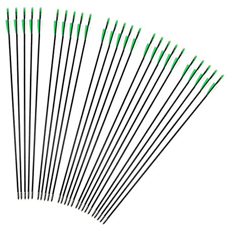 iMeshbean Fieberglaspfeile Pfeile für bogenschießen, 25 Stück Bogenpfeile Erwachsene 31 Zoll 6mm Fiberglaspfeil Jagdpfeile für Bogen, Recurvebogen, Sportbogen,Outdoor Zielschießen (Grün)